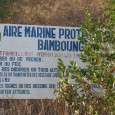 Présentation des actions d'Océanium dans le Siné-Saloum.