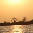 Lutter contre la pauvreté en utilisant les ressources naturelles de la savane.