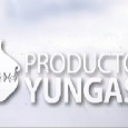 Présentation de la marque Producto Yungas ainsi que de notre mission à la fondation ProYungas