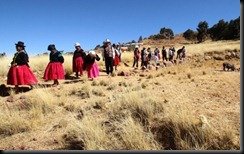 Agriculteurs du lac Titicaca