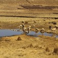 L'heure du bilan de nos impressions de voyage en Amérique du Sud