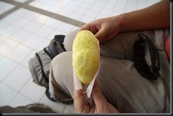 durian2