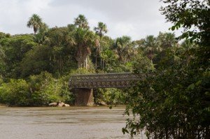 Pont sur la Comté - Guyane