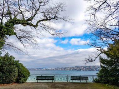 rive du lac leman