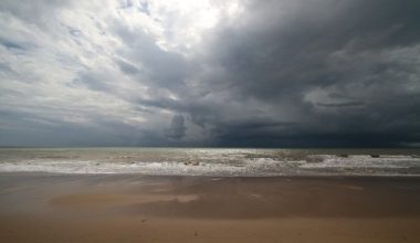 Signe avant-coureur de la pluie
