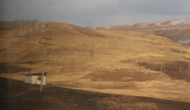 Le paysage depuis le transsibérien