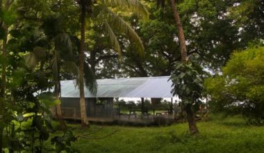 Le carbet de l'ilet Mère