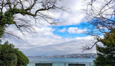 rive du lac leman