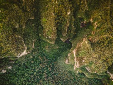 Vue du ciel d'une foret